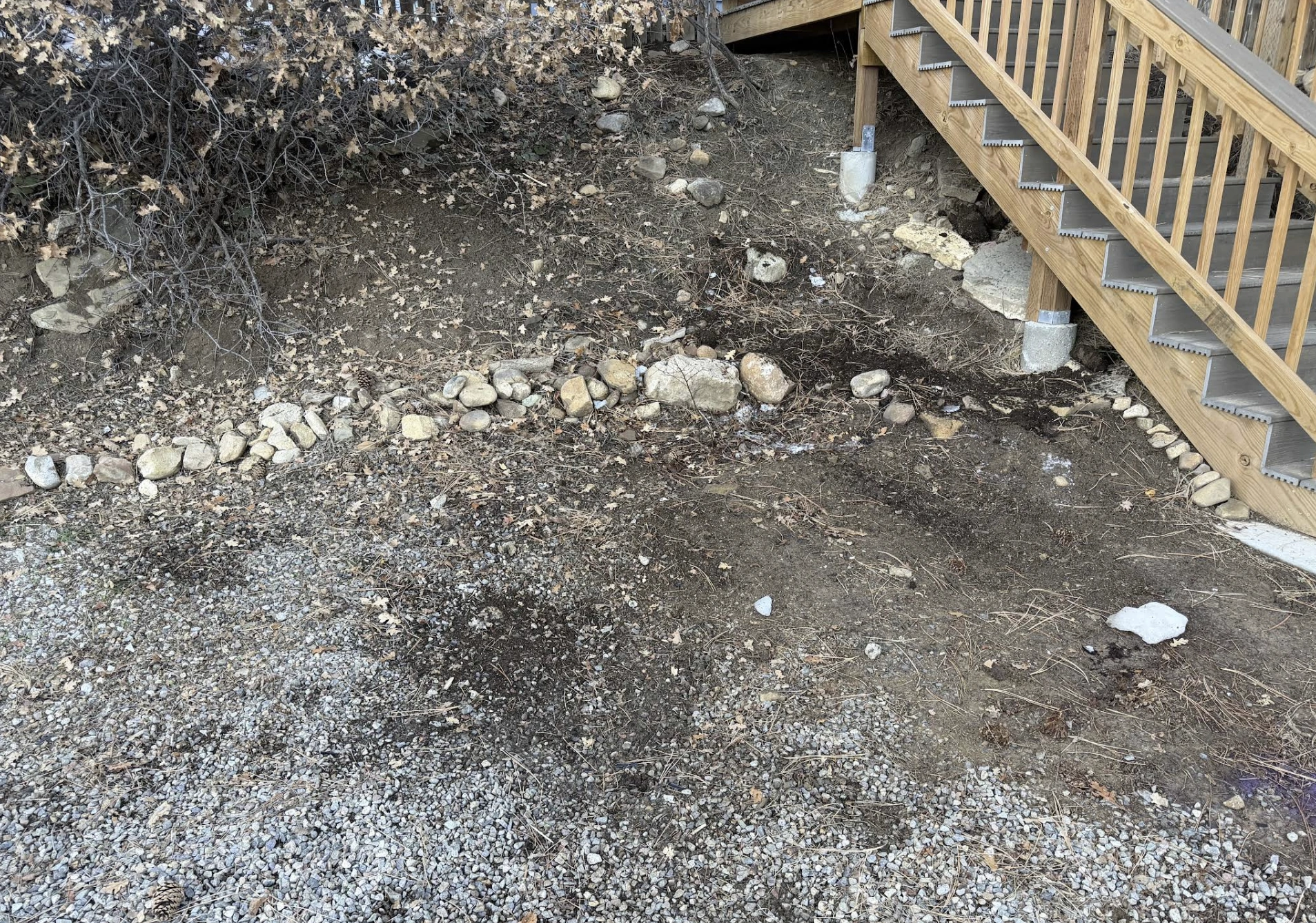 property cleanout services cleared yard
