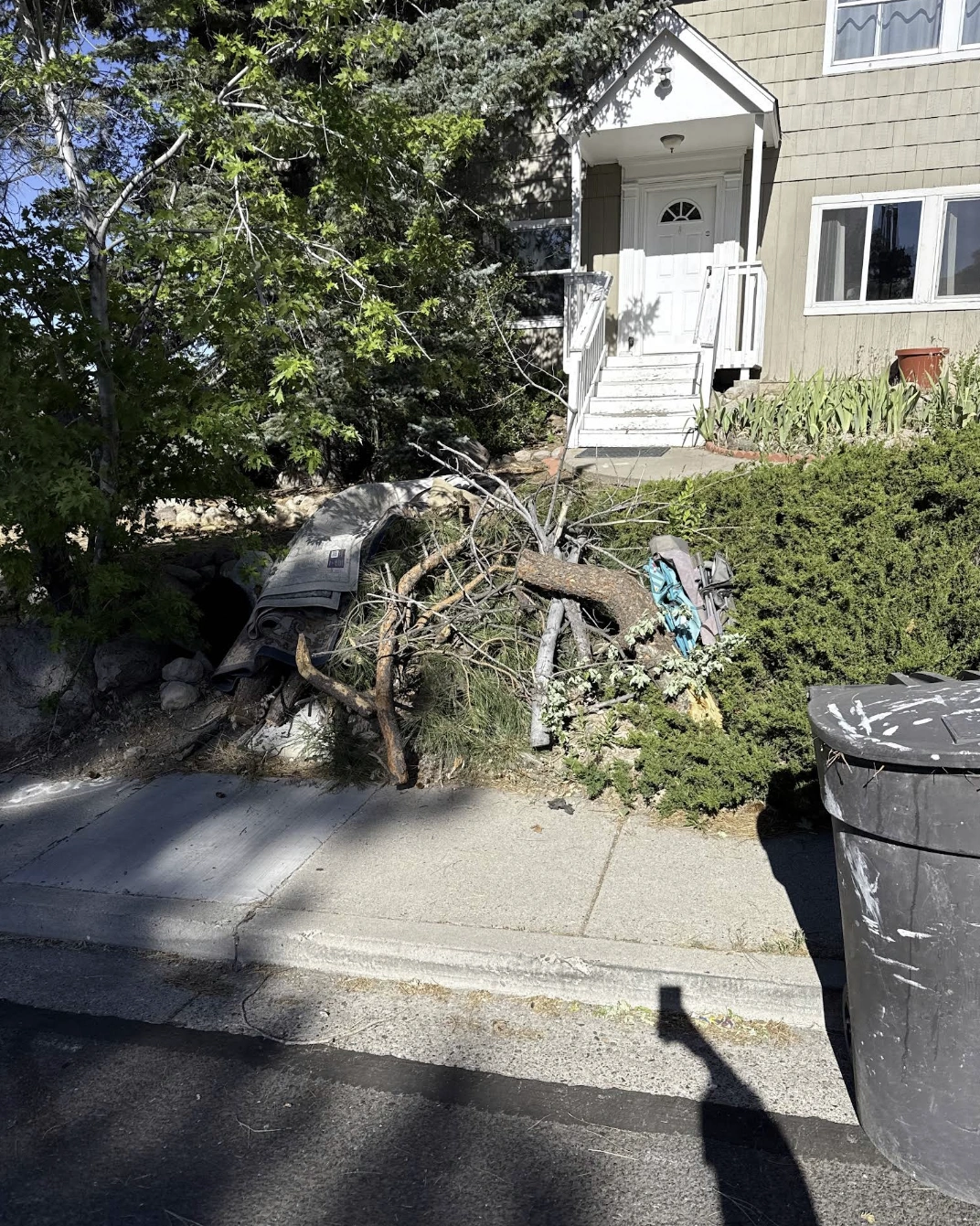 yard waste removal branches